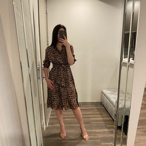 Zara Leopard print dress